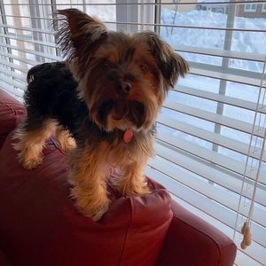 Meet your Posher, Hélène